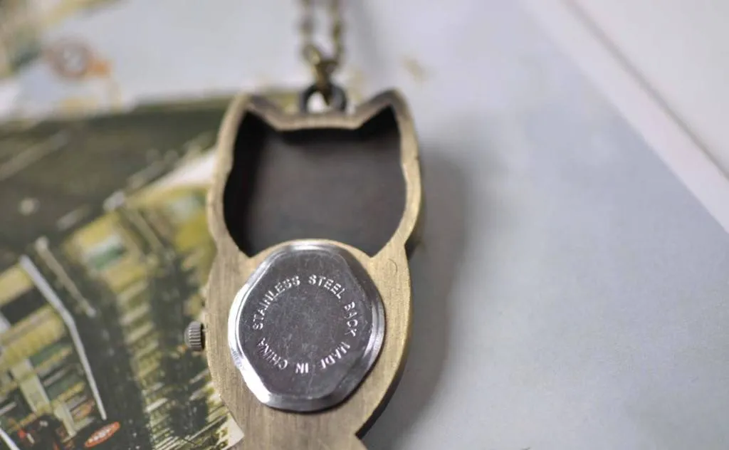 Antique Bronze Long Owl Pocket Watch A7884