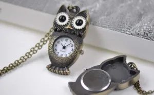 Antique Bronze Long Owl Pocket Watch A7884