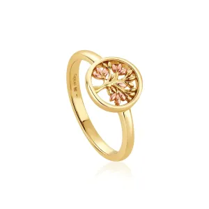 Clogau Tree of Life Circle 9ct Gold Ring D