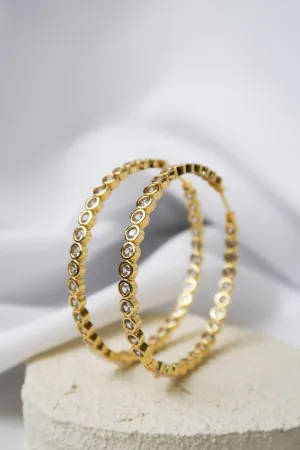 Feelin' Fresh 316L Stainless Steel Hoops