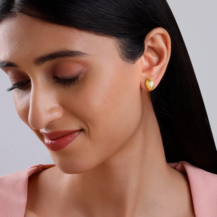 Golden Shell?? Earrings