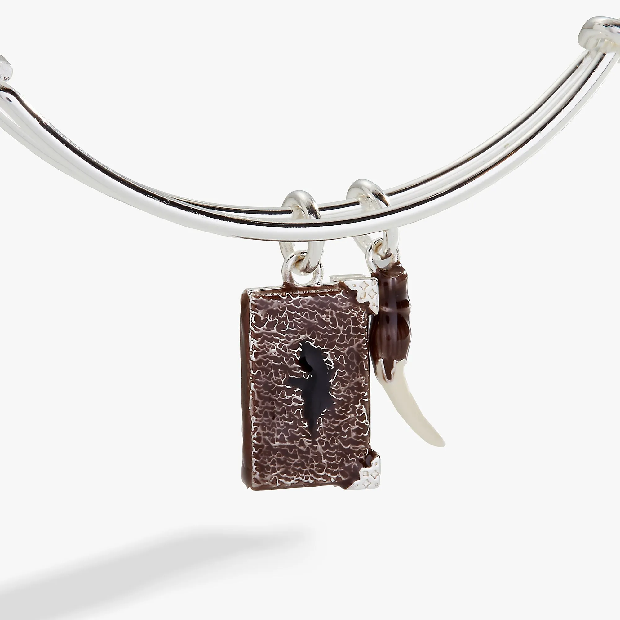 Harry Potter? Diary and Basilisk Fang Bangle