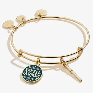 Harry Potter? Expelliarmus Duo Charm Bangle