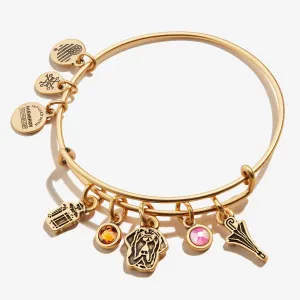 Harry Potter? Hagrid Multi-Charm Bangle