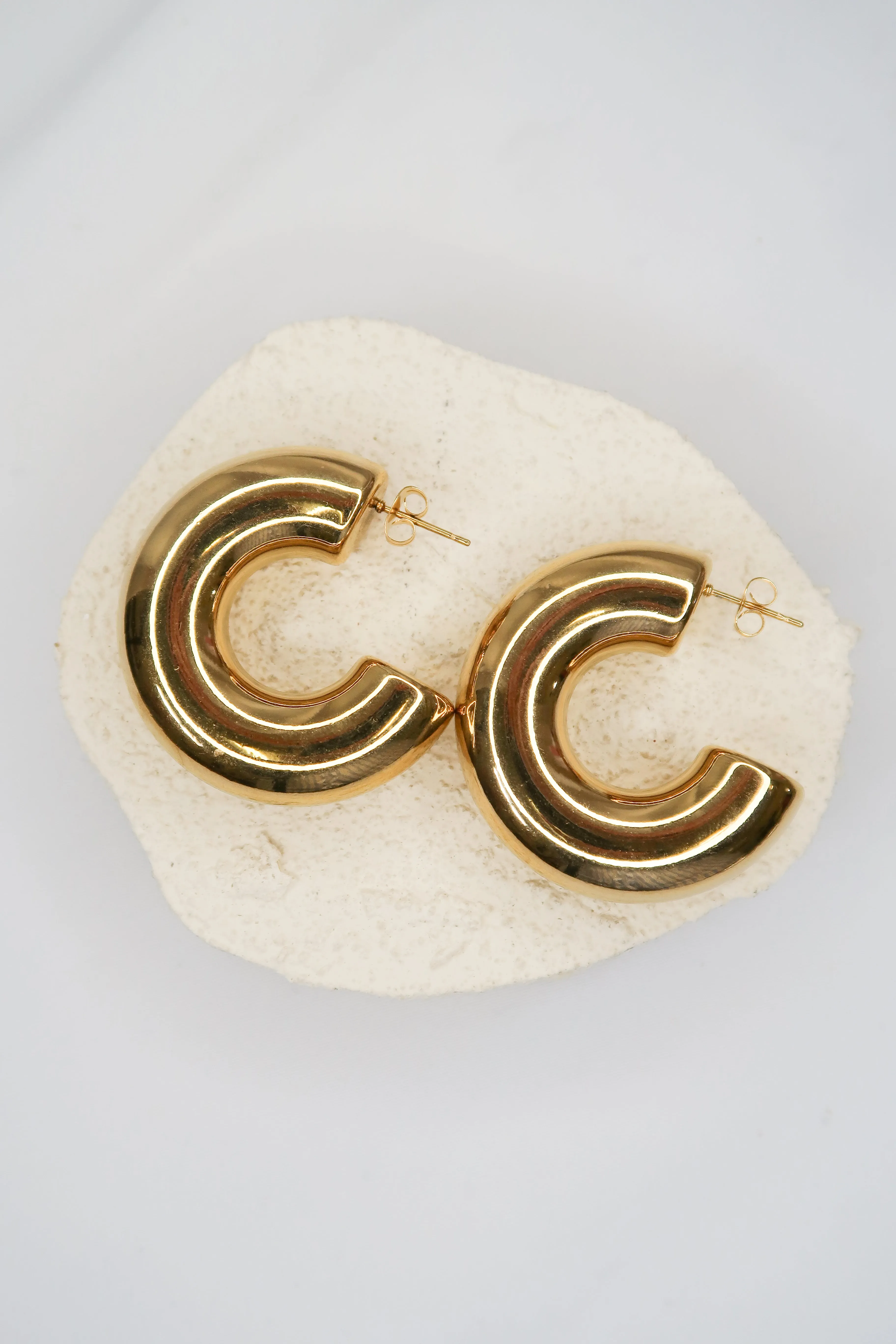 Modern Day Momma 316L Stainless Steel Hoops