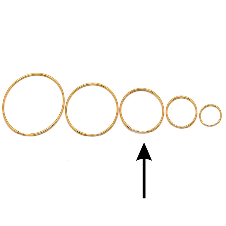 Real Gold Round Plain Loop Earrings Set (2.4 cm) - Model 0001/20/10M E1938