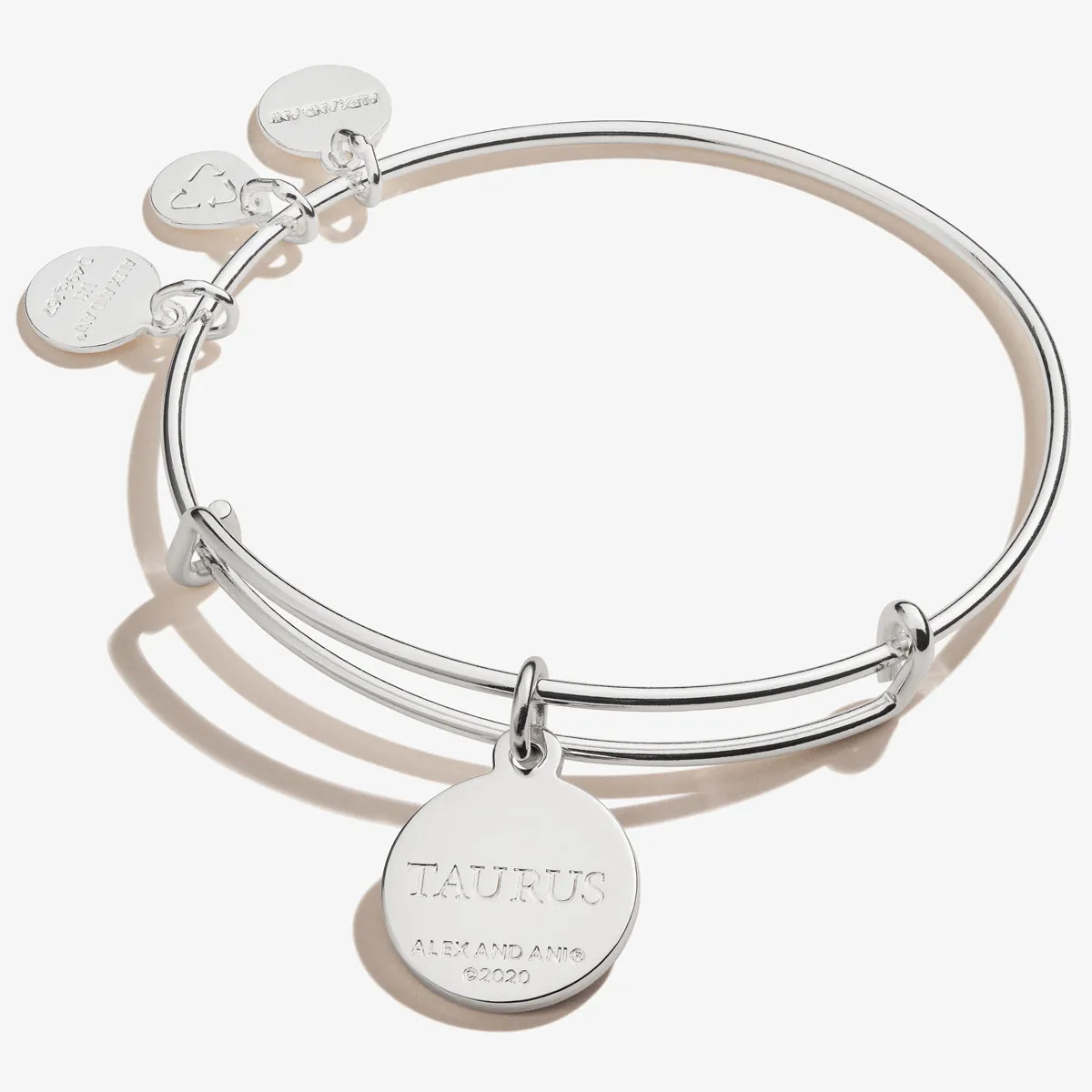 Taurus Zodiac Charm Bangle