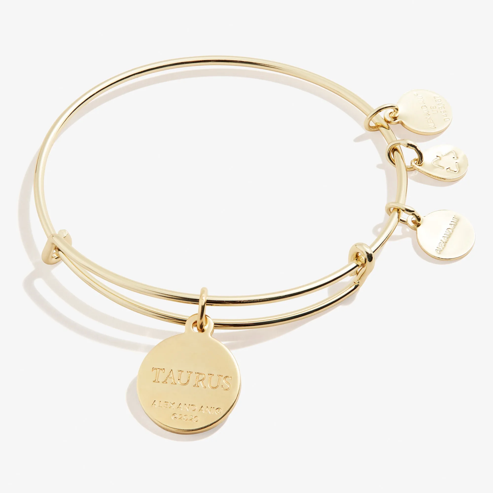 Taurus Zodiac Charm Bangle