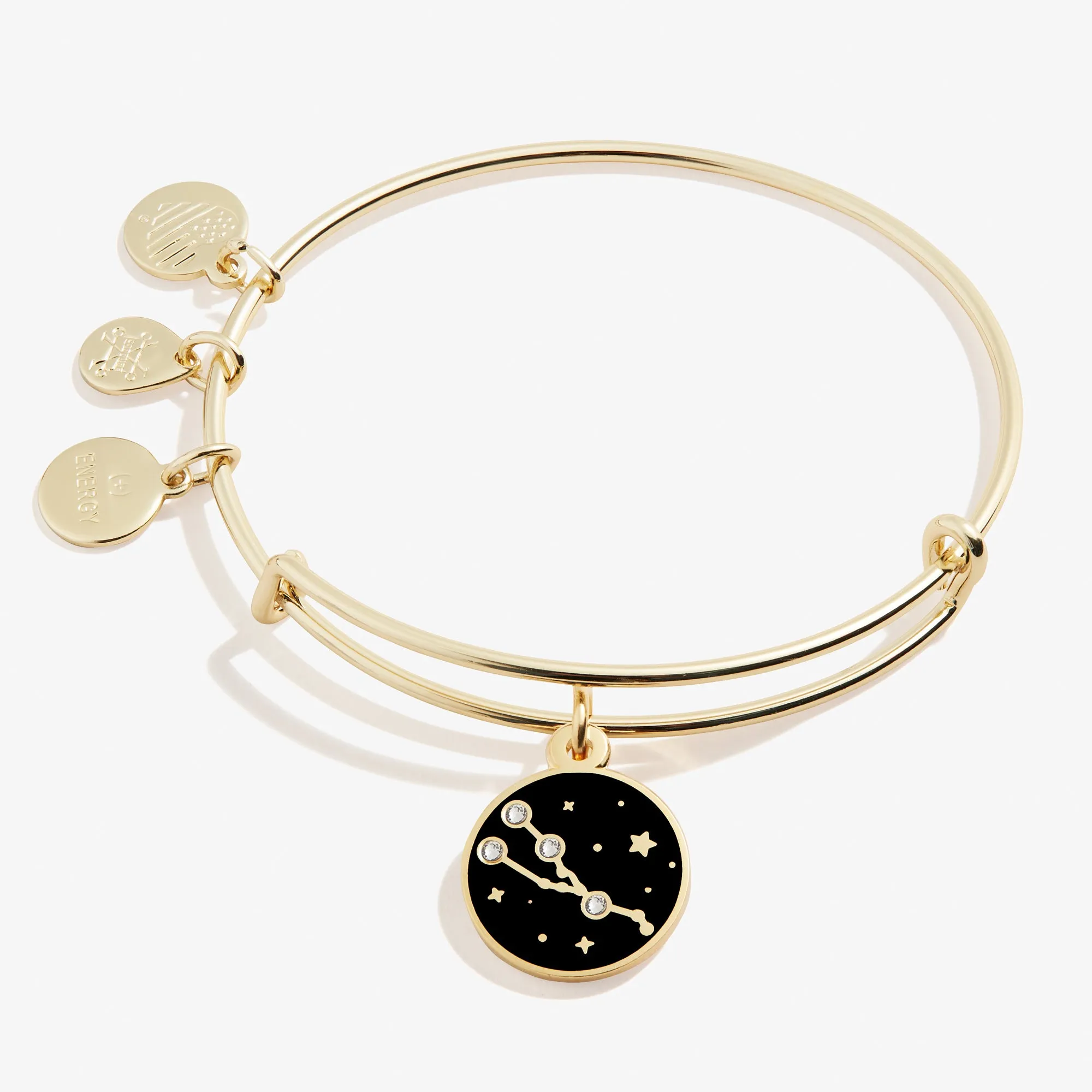 Taurus Zodiac Charm Bangle