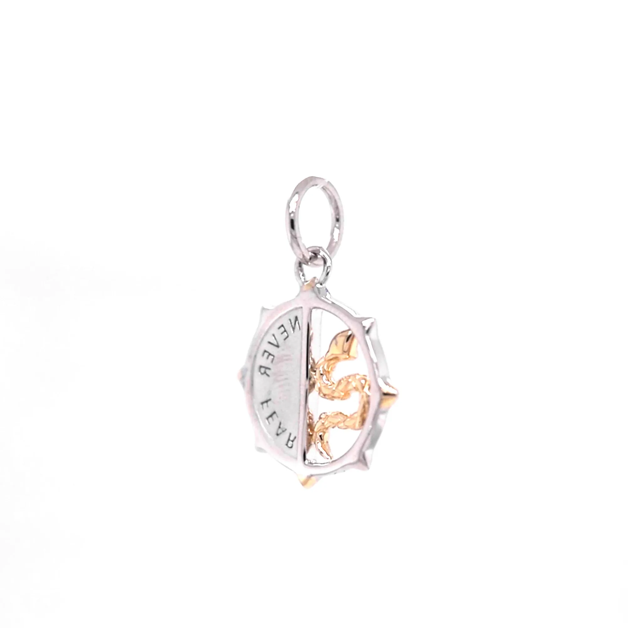 Two-Tone Mini "Never Fear" Snake Medallion